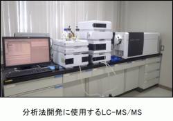分析法開発に使用するLC-MS/MSの画像