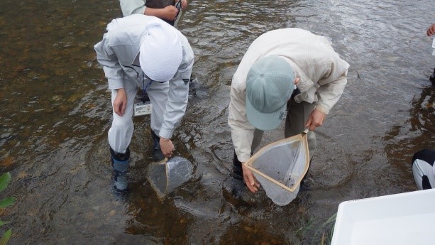 http://www.iwate-eco.jp/know/201808_1.jpg