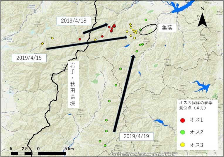 春季移動図