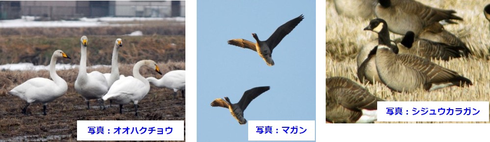 http://www.iwate-eco.jp/know/kanpoken201905_1.jpg